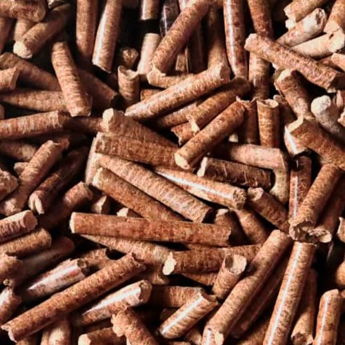 InShot_20230517_101438762